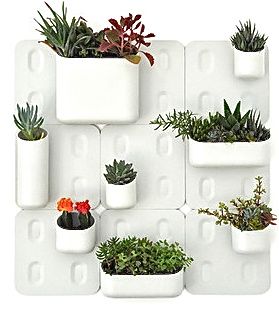 Pledge_5_grande_large