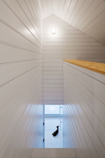 v316159_958_480_720-11